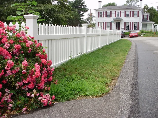 White picket fence along a driveway with flowering shrubs