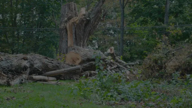 work photo from dcwoodservices.com