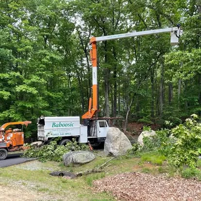 work photo from baboosictreelandscape.com