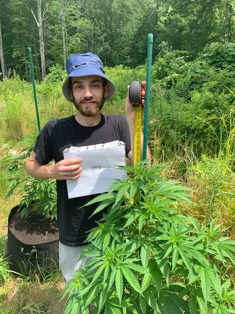 work photo from lillylakefarm.com