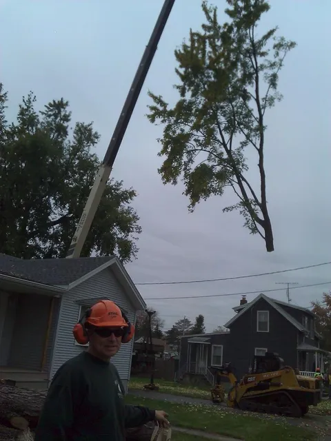 work photo from huntertreeservice.biz