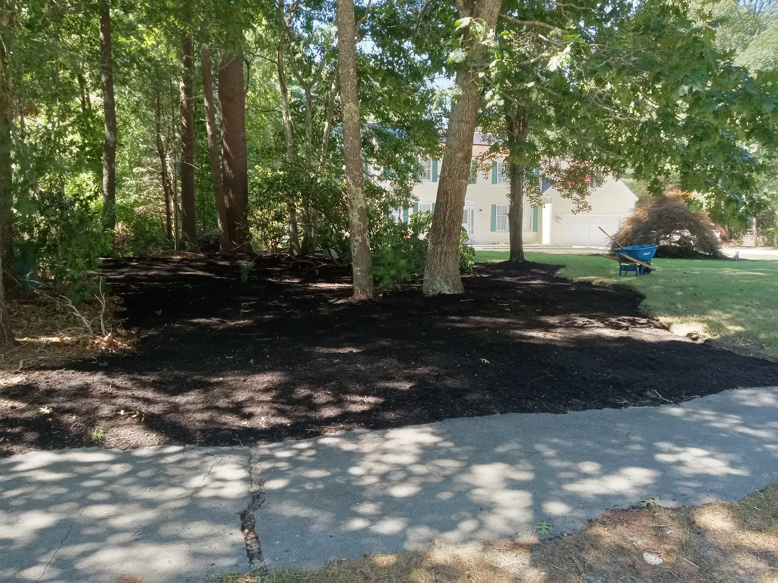 work photo from Google listing
