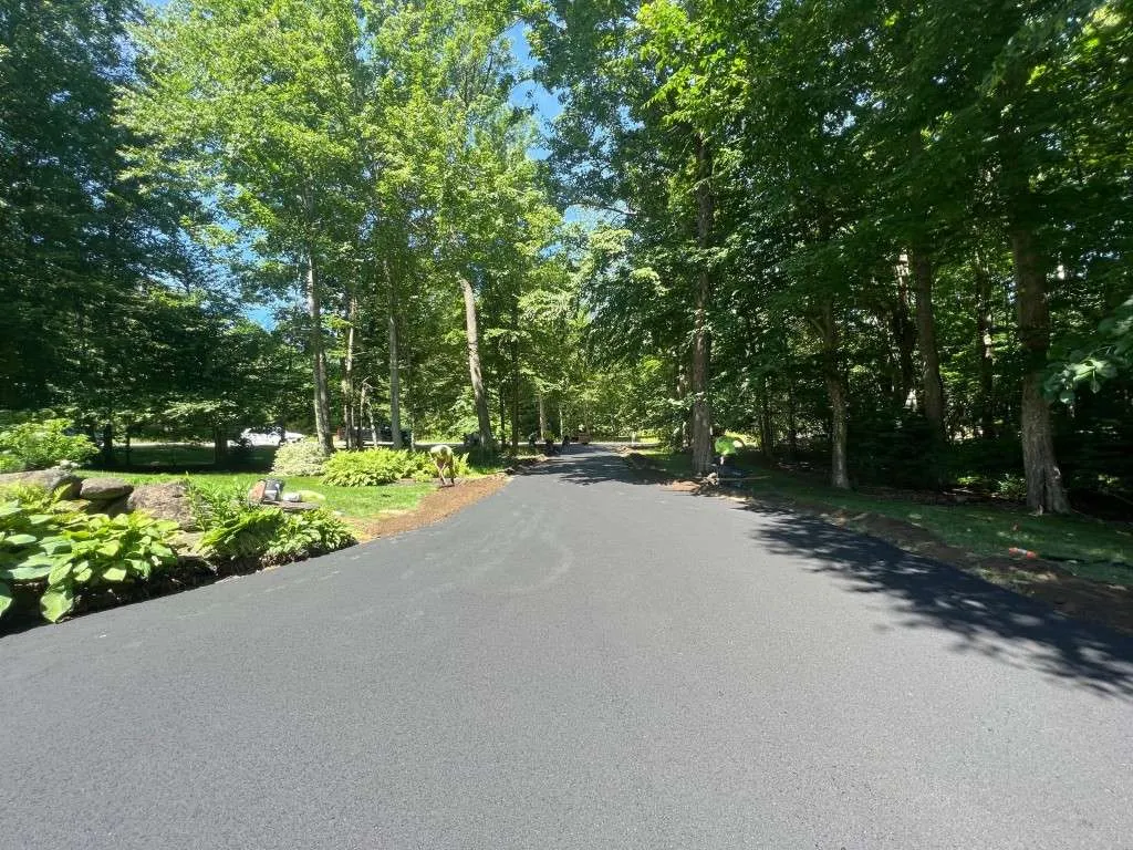 Residential street with trees and greenery