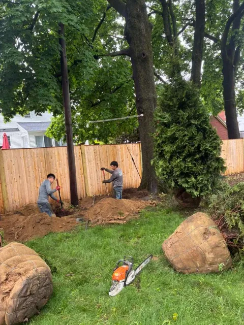 work photo from ramostreeplanting.com