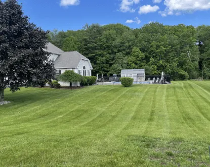 LAWN MOWING