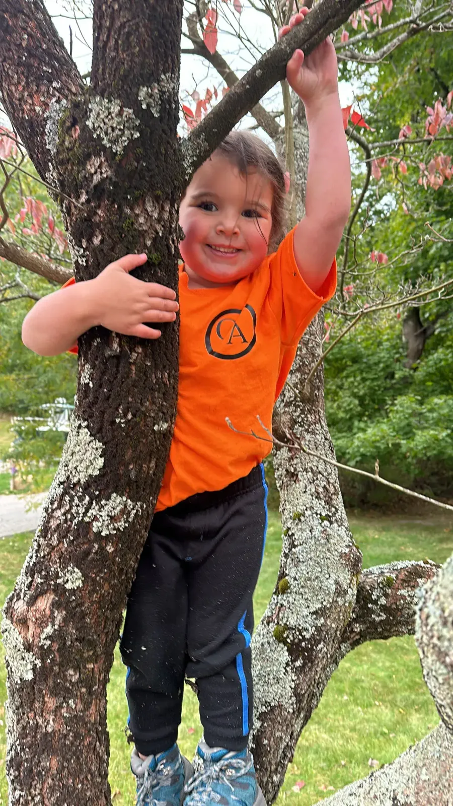 Another child in a Geddis Arborists t-shirt climbing the same tree