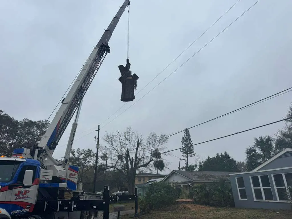 work photo from visionlandsandtreeservicesllc.com