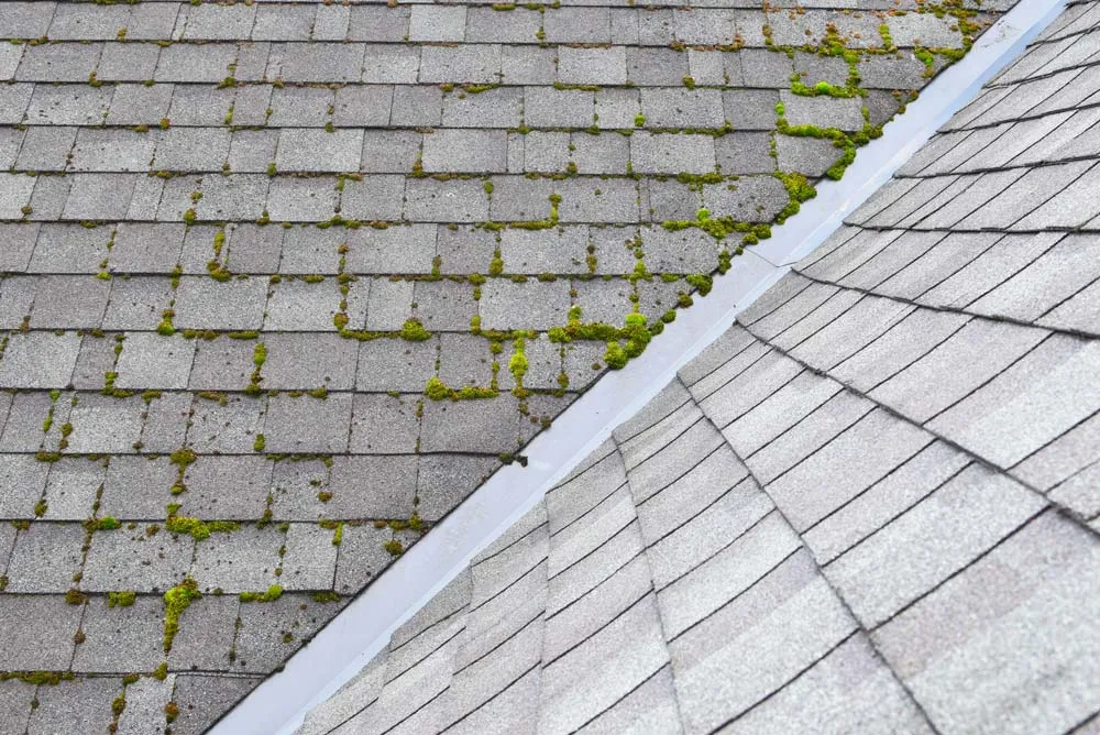 A before and after look of a soft washed roof.