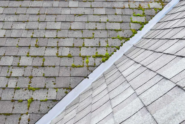 A before and after look of a soft washed roof.