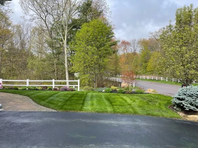 Black Dog Landscapes LLC. researched project photo