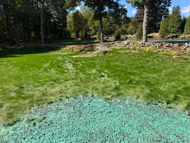 work photo from mrhydroseedlandscaping.com