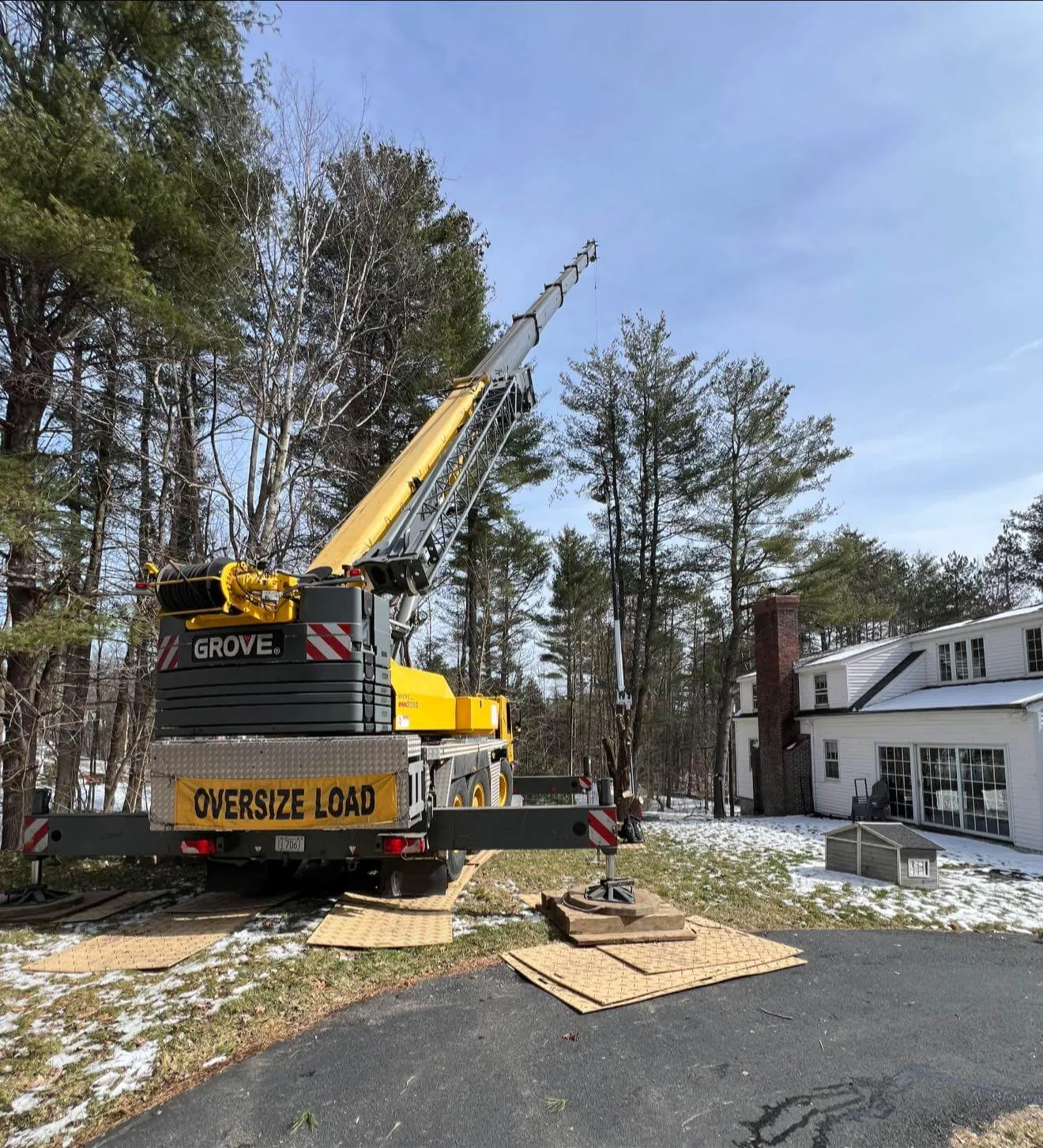 work photo from technicaltreeservice.com