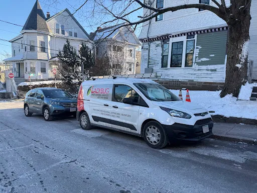Ladybug Pest Control Services work photo