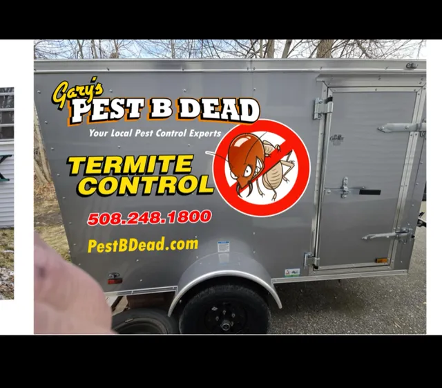 Pest B Dead work photo
