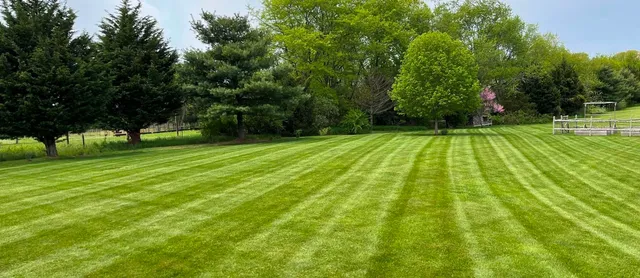 work photo from mikeslandscapingri.com