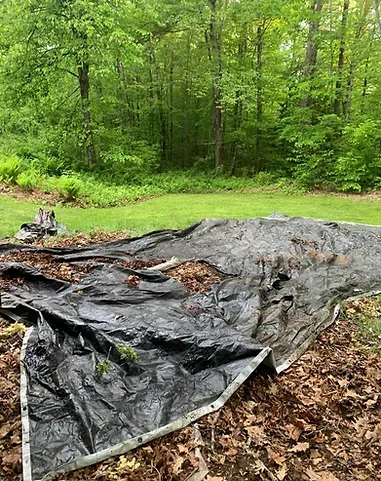 Beautiful Junk Removal By GoGetIt