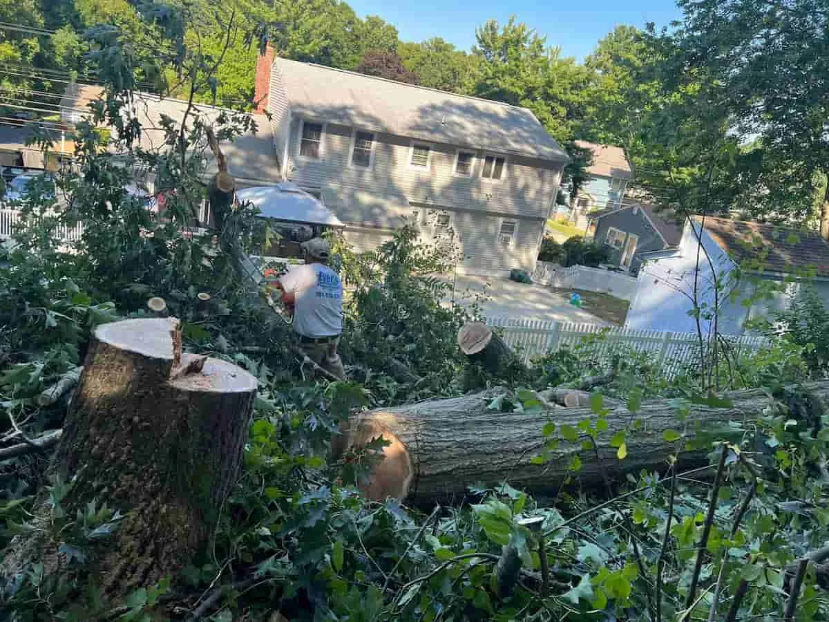 work photo from everslandscaper.com