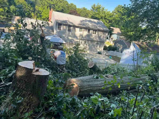 work photo from everslandscaper.com