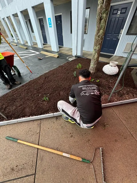 work photo from connectedthroughcleaning.com