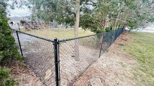 Review photo by Rob DeMezzo