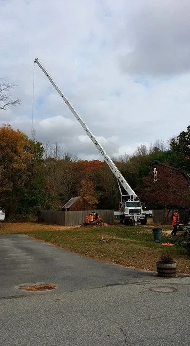 work photo from elliotttreeandlandscaping.com