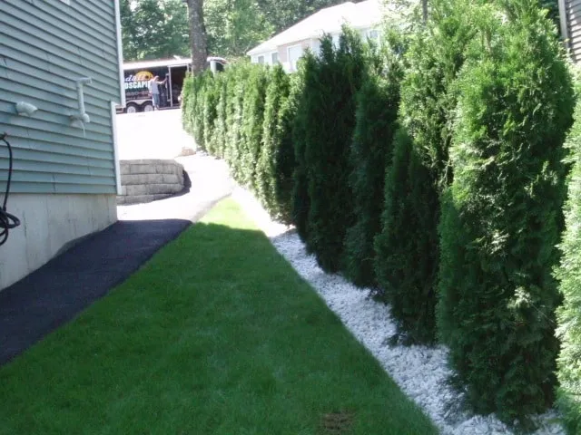 work photo from randalllandscaping.com