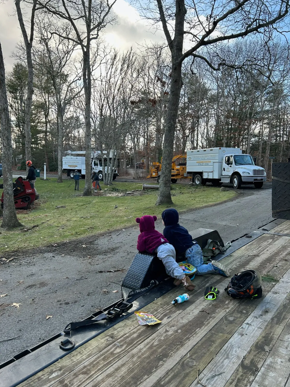 Tree service