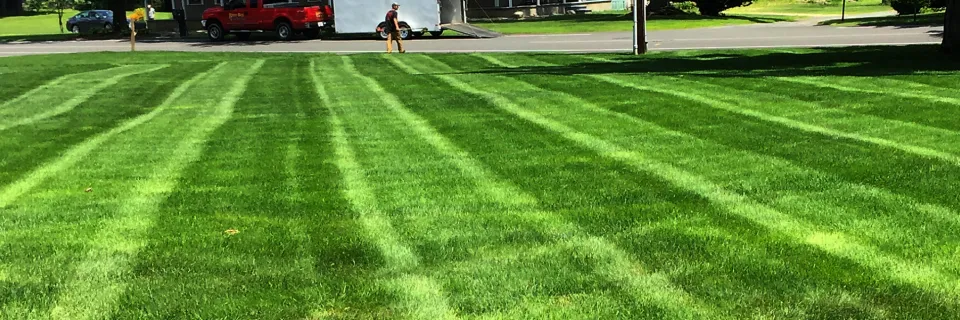Your lawn and landscape
the way that it should be