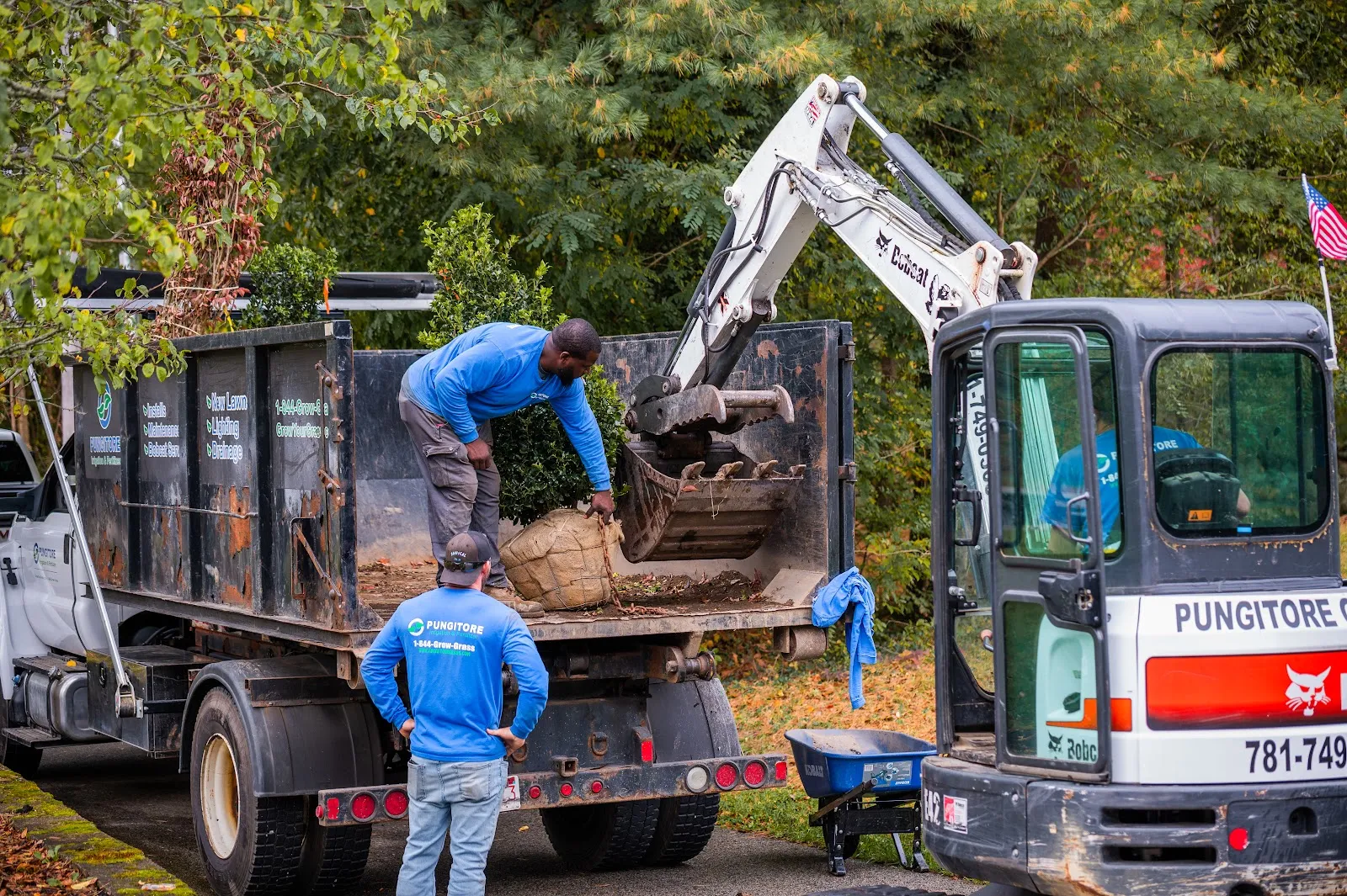 Pungitore Landscaping