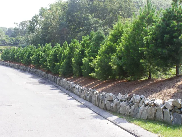work photo from theprovidencegrasscompany.com