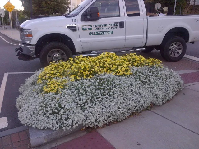 Forever Green Lawn & Landscape work photo