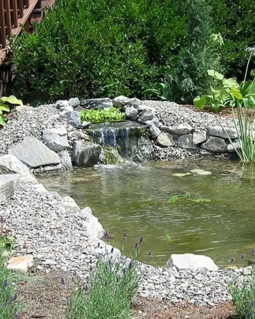 Ponds and Water Features services