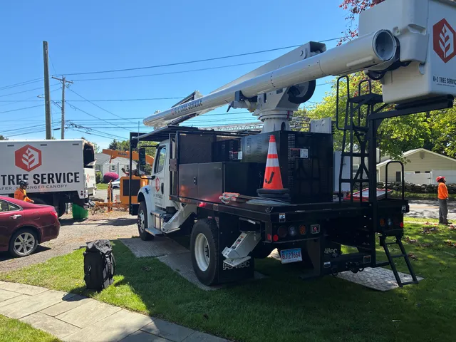 K&J Tree Service work photo