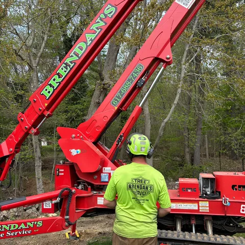 work photo from brendanslandscape.com