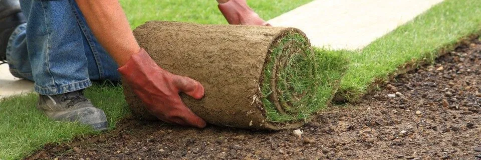 Your lawn and landscape
the way that it should