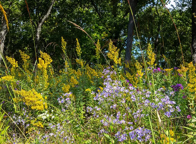 work photo from greatmarshgardenandlandscape.com