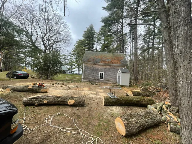 Granite State Greenery and Bushcraft LLC work photo