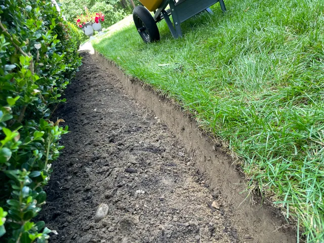 Fortuna Landscape work photo
