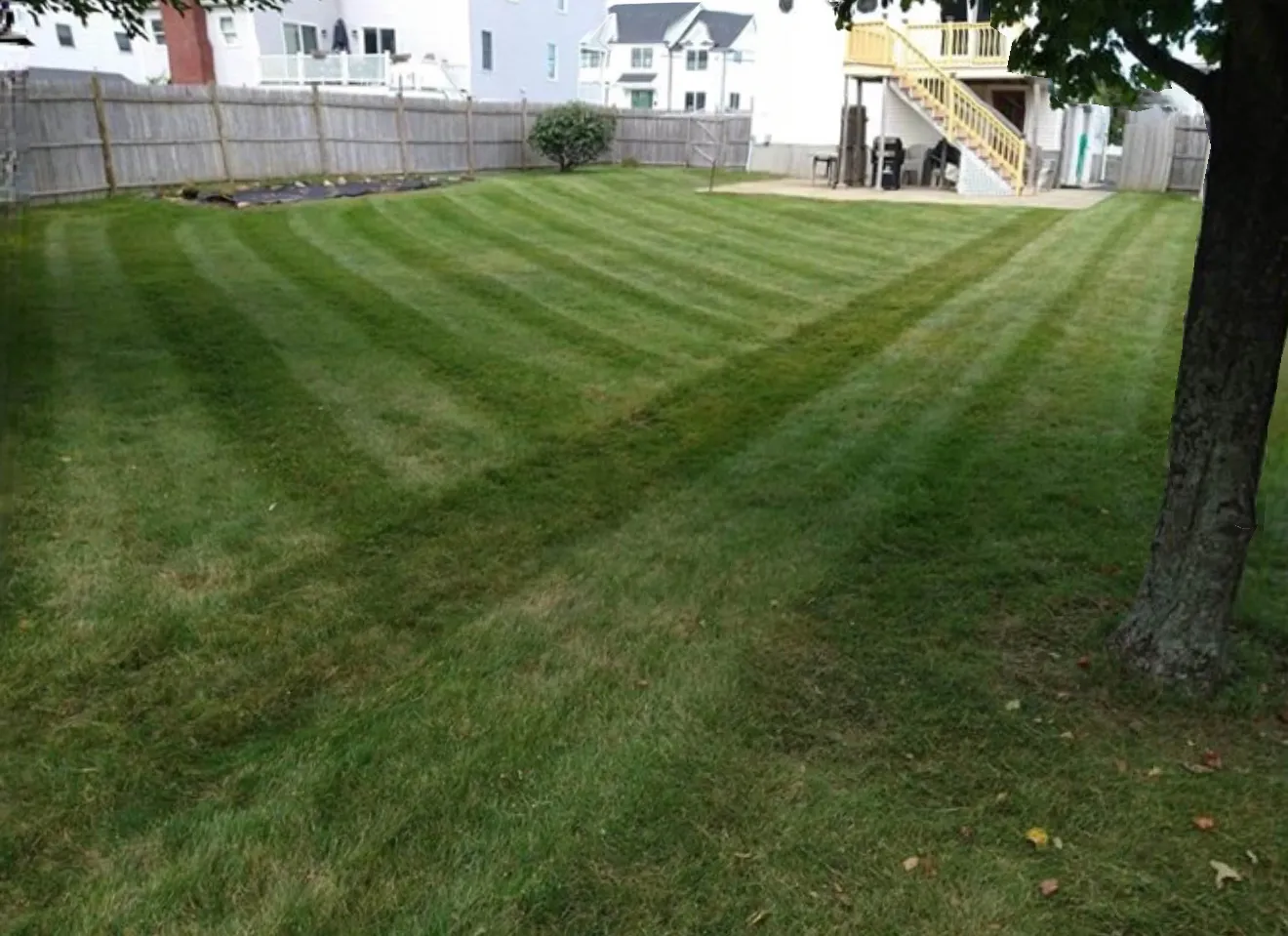 The Grass Guy