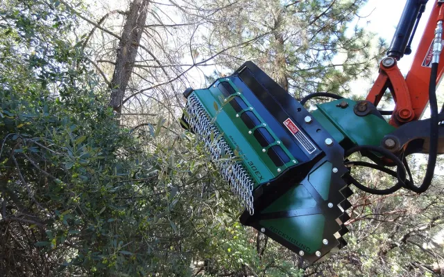 Forestry Mulching