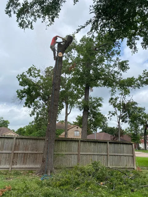 Milton Landscaping work photo