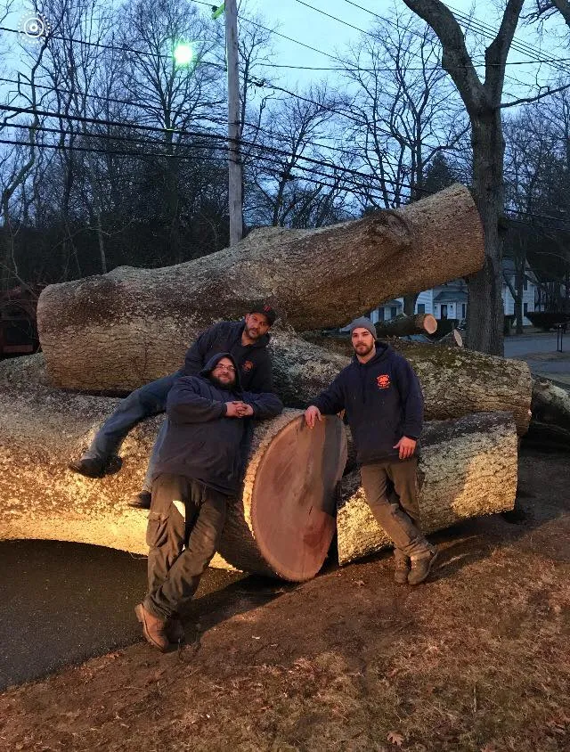 Newcomb's Tree Service, LLC