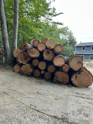 New Hampshire Arbor Works work photo