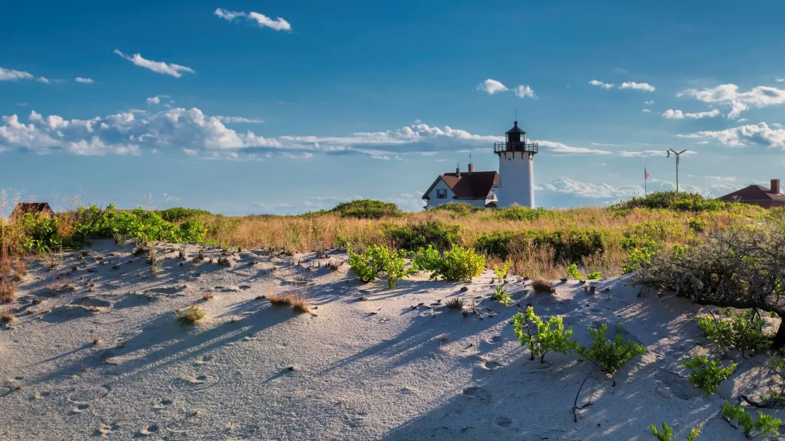 Lighthouse Point on beach dunes