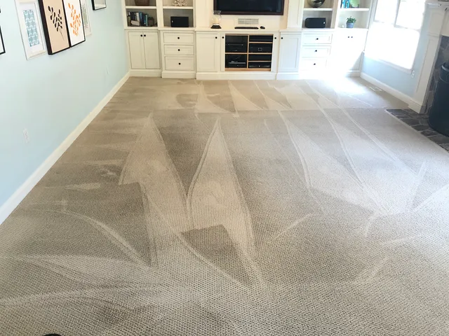 Trusted Green Cleaners, LLC work photo