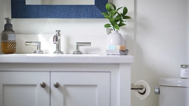Bathroom remodel — vanity and fixtures