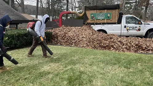 PGP Fall Cleanups