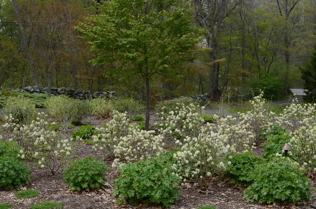 Rue Sherwood Landscape Design
