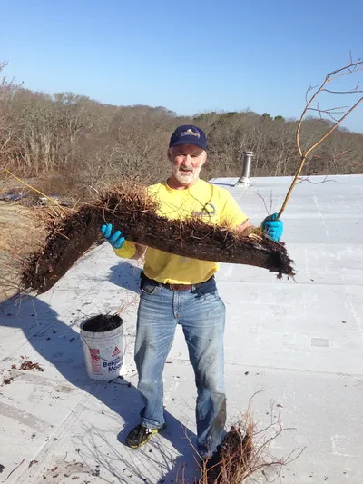 western mass gutter monkeys work photo