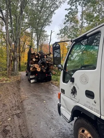 work photo from cedarruntrees.com